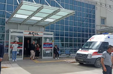 Ağaç keserken canından oldu