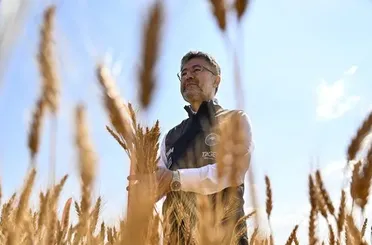 Bakan Yumaklı: Ülkemizde Yerli tohumla ekmeklik buğday yetiştirildi!