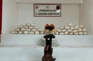 Diyarbakır’da Zehir Tacirlerine Darbe: 555 Kilo Uyuşturucu Ele Geçirildi