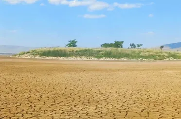 Ilgın Çavuşcugöl Kuruyor! Adaya Artık Yürüyerek Ulaşılabiliyor!