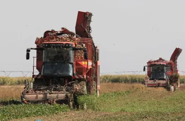 Konya Şeker'den 113 Milyon 484 Bin Tl Motorin Avansı