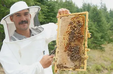 Konya’da Arıcılıkta Rekor Artış: Kovan Sayısı 140 Bine Yaklaştı!