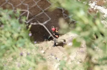 Konya'da Obruğa düşen köpek için nefes kesen operasyon!