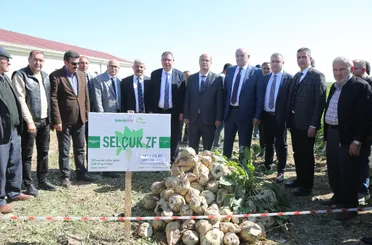 Konya’dan Türkiye’ye Yerli Tohum Hamlesi: PANKOBİRLİK ve Selçuk Üniversitesi’nden Tarihi Başarı
