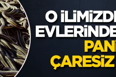 O ilimizde bir anda evlerinde buldular! Panikten çaresiz kaldılar