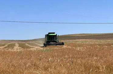 Tarımda destekler açıklandı