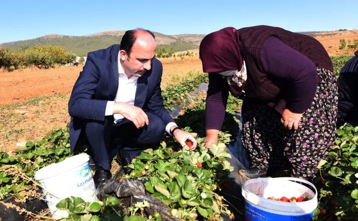 Başkan Altay’dan Dünya Kadın Çiftçiler Günü Mesajı: “Üretimin Gücüne Güç Katıyorlar”