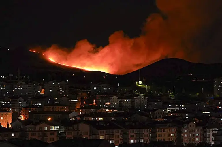 Ankara Mamak’ta Ağaçlık Alanda Yangın Çıktı: Ekipler Seferber Oldu