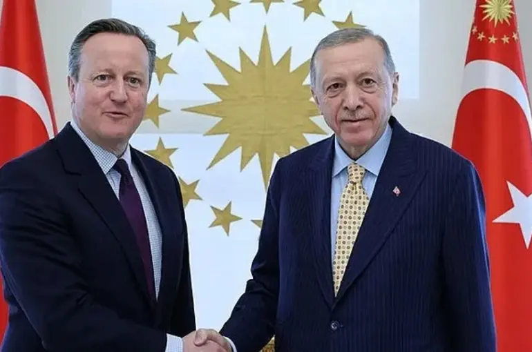 Cumhurbaşkanı Erdoğan, İngiltere Dışişleri Bakanı Cameron'u kabul etti