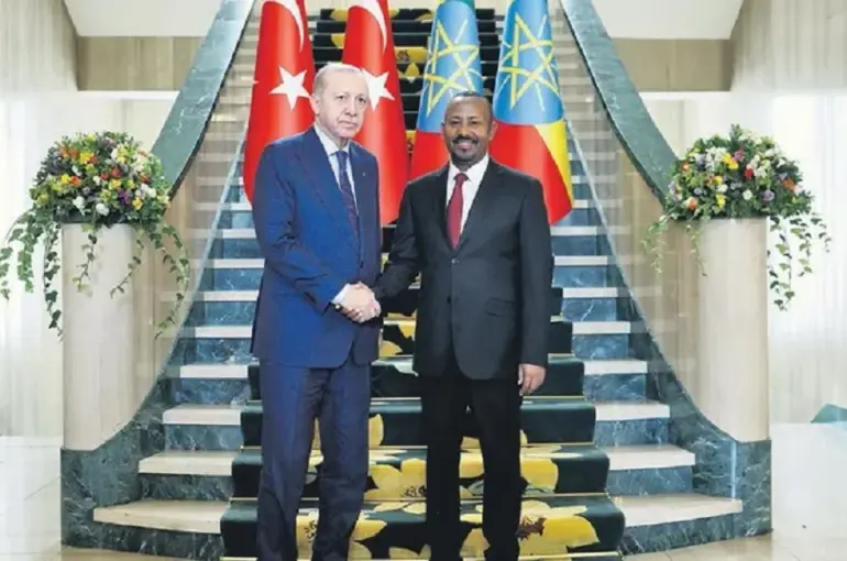 Cumhurbaşkanı Erdoğan’dan Etiyopya'da Barış Vurgusu!