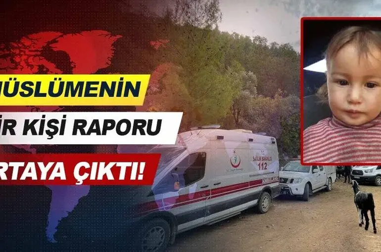 Müslüme'nin bilirkişi raporu ortaya çıktı!