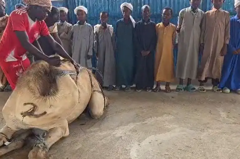 Somali’den Cumhurbaşkanı Erdoğan’a anlamlı destek! Türkiye'ye kardeşlik mesajı!