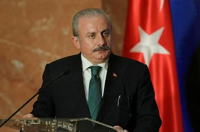 TBMM Başkanı Şentop: Çocuk istismarının en iğrenç suç olduğunu ifade ettim bunun takipçisi olacağız